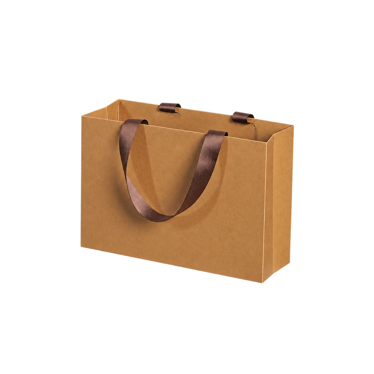 Custom Gift Bag