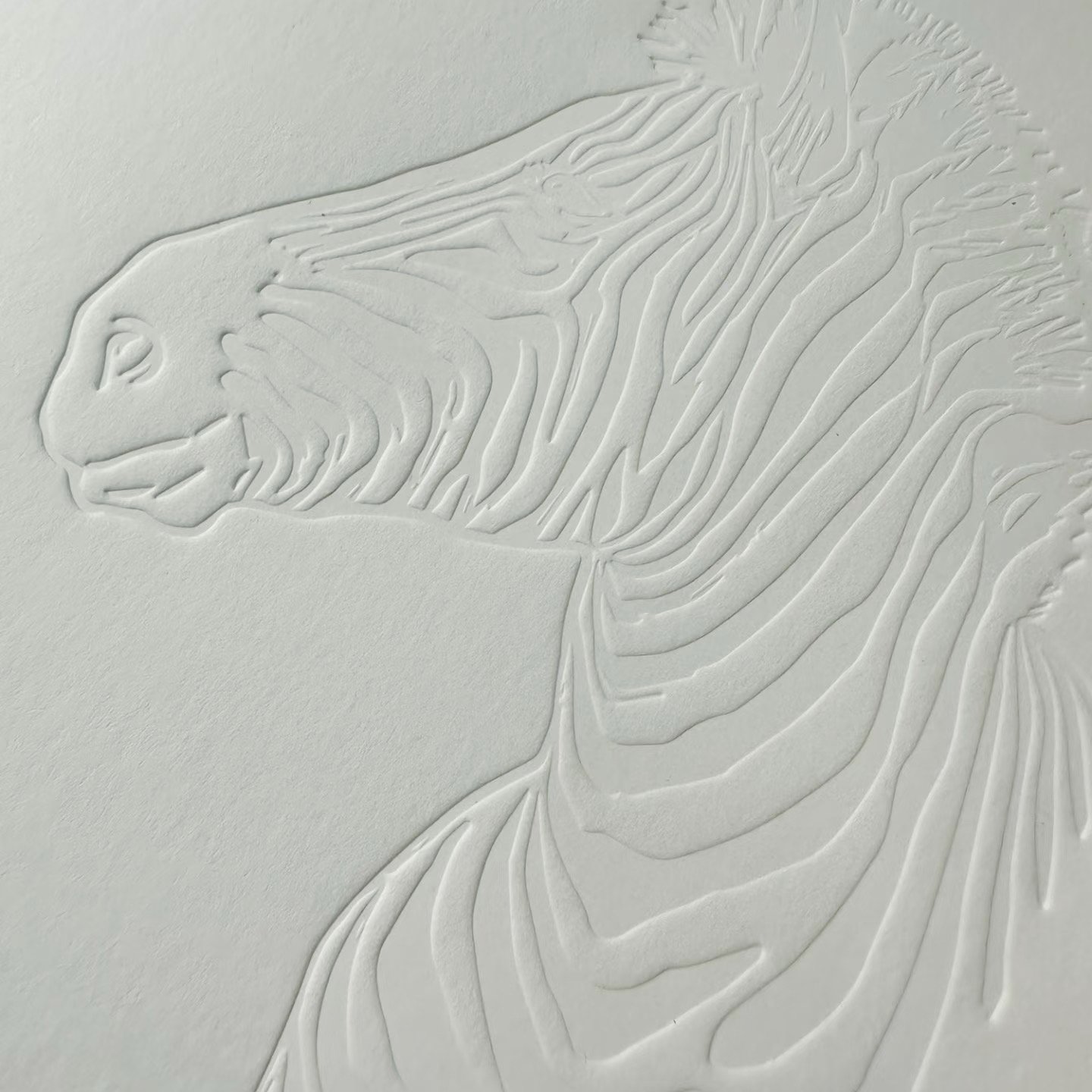 Debossed Pattern On Specialty Paper