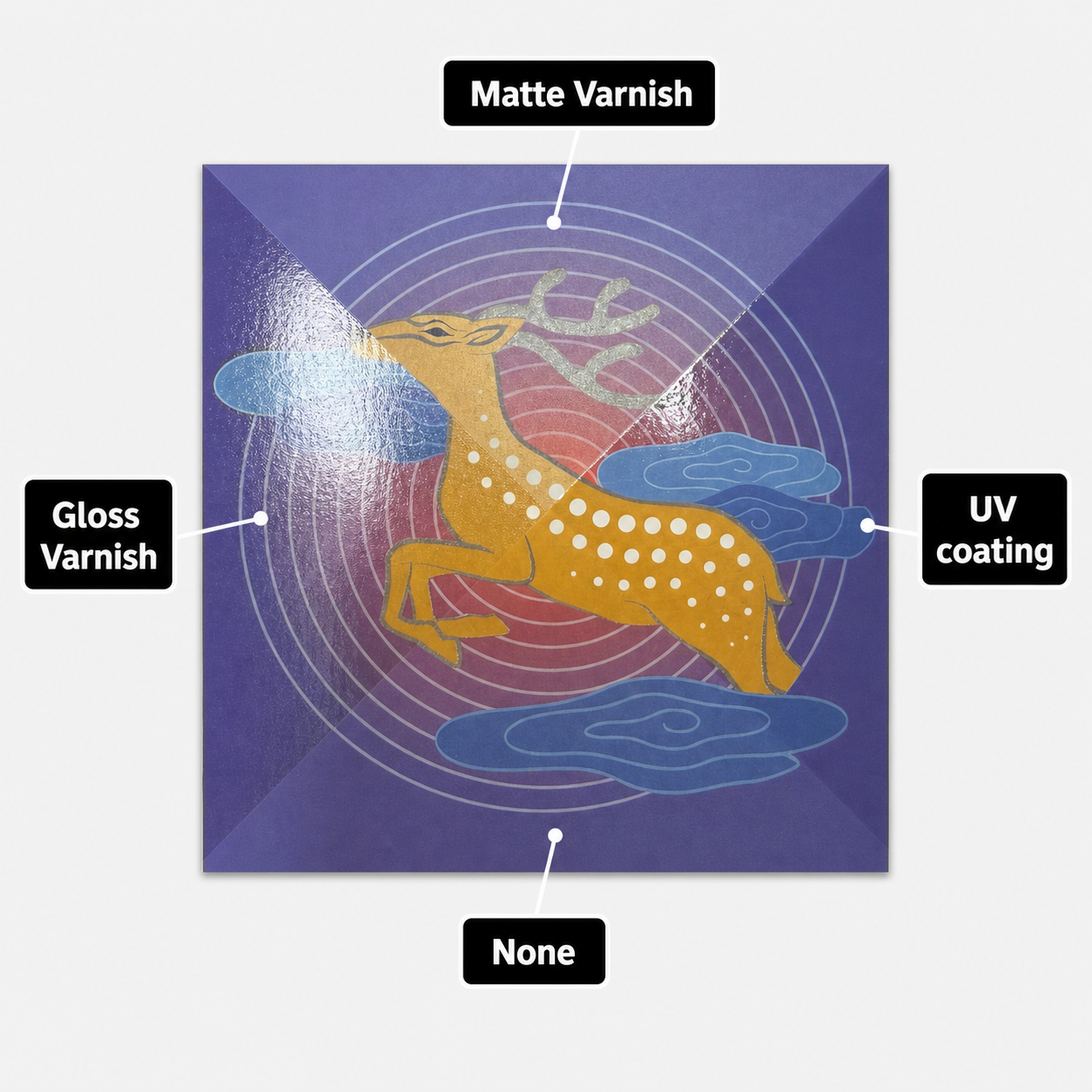 Gloss Varnish VS Matte Varnish VS UV Coating VS No Coating