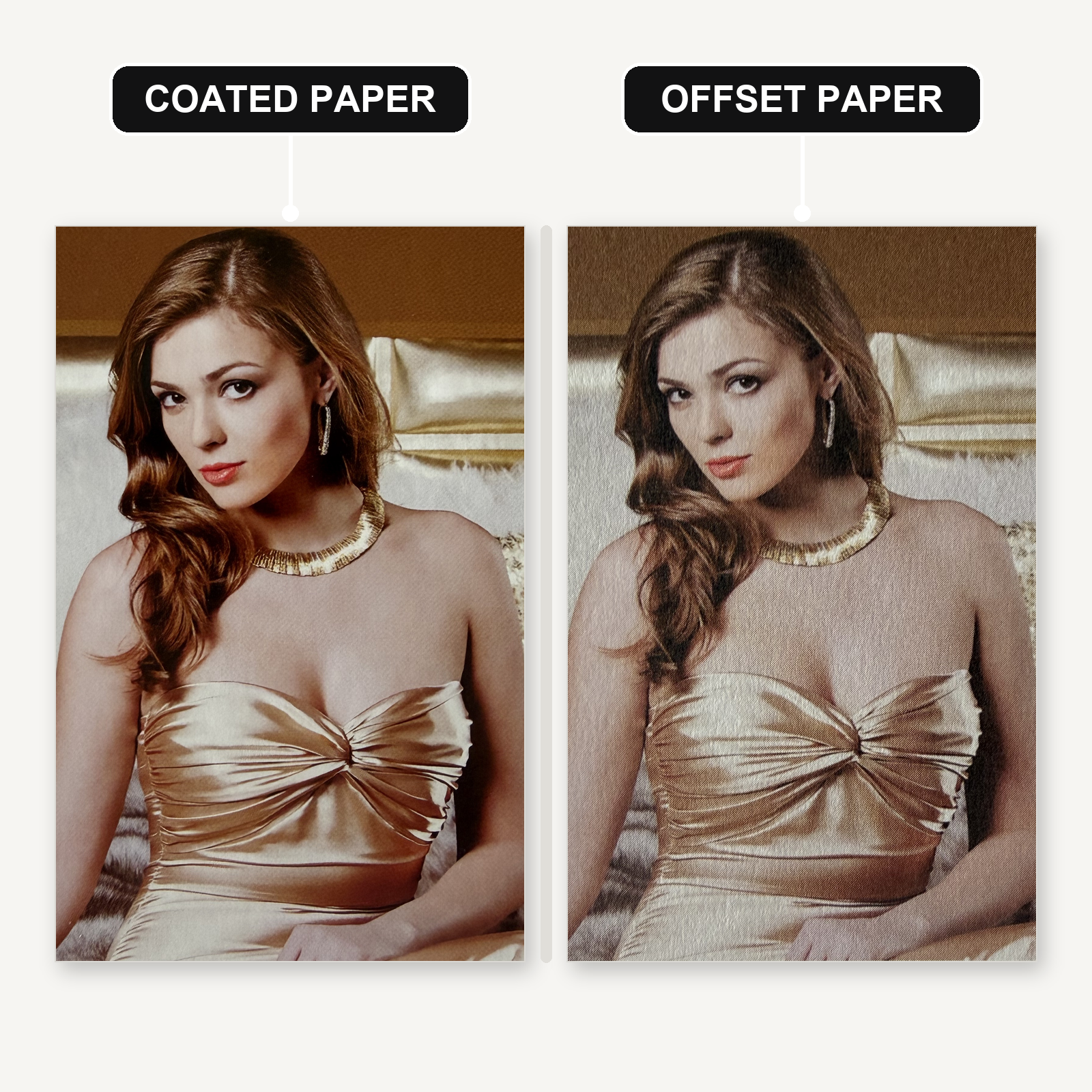 Coated Paper VS Offset Paper Offset Printing Comparison